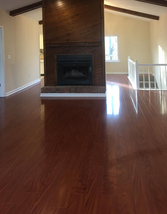 720 Swansons Ridge Road Chattanooga, TN 37421 - Photo 3 of 25 GREAT ROOM MAIN LEVEL FIREPLACE