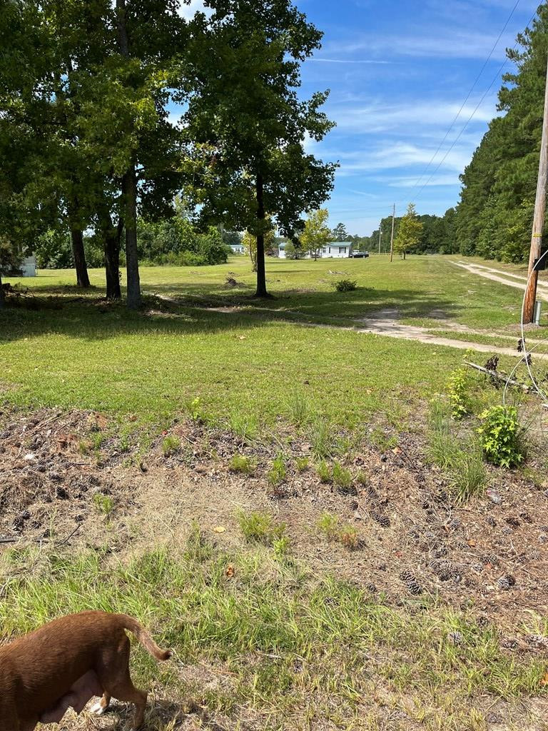 4864 Cannon Bridge Road Cope, SC 29038 - Photo 11 of 19 Photo 11