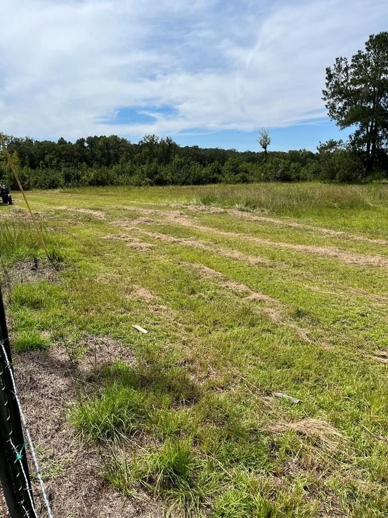 4864 Cannon Bridge Road Cope, SC 29038 - Photo 13 of 19 Photo 14