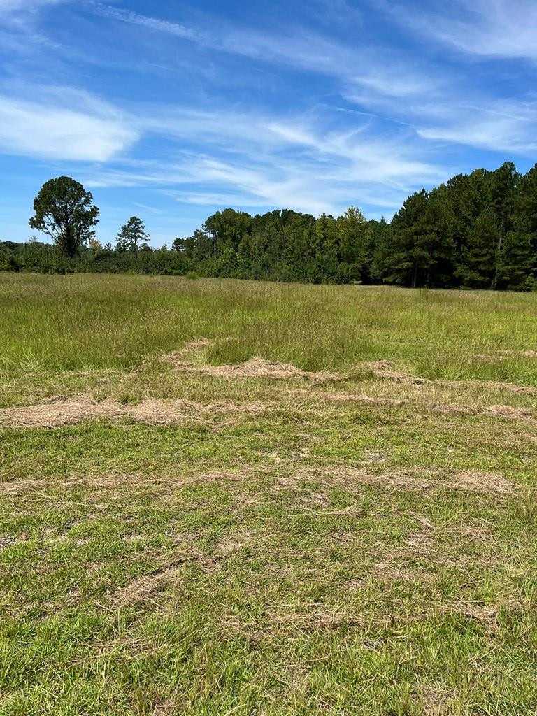 4864 Cannon Bridge Road Cope, SC 29038 - Photo 14 of 19 Photo 15