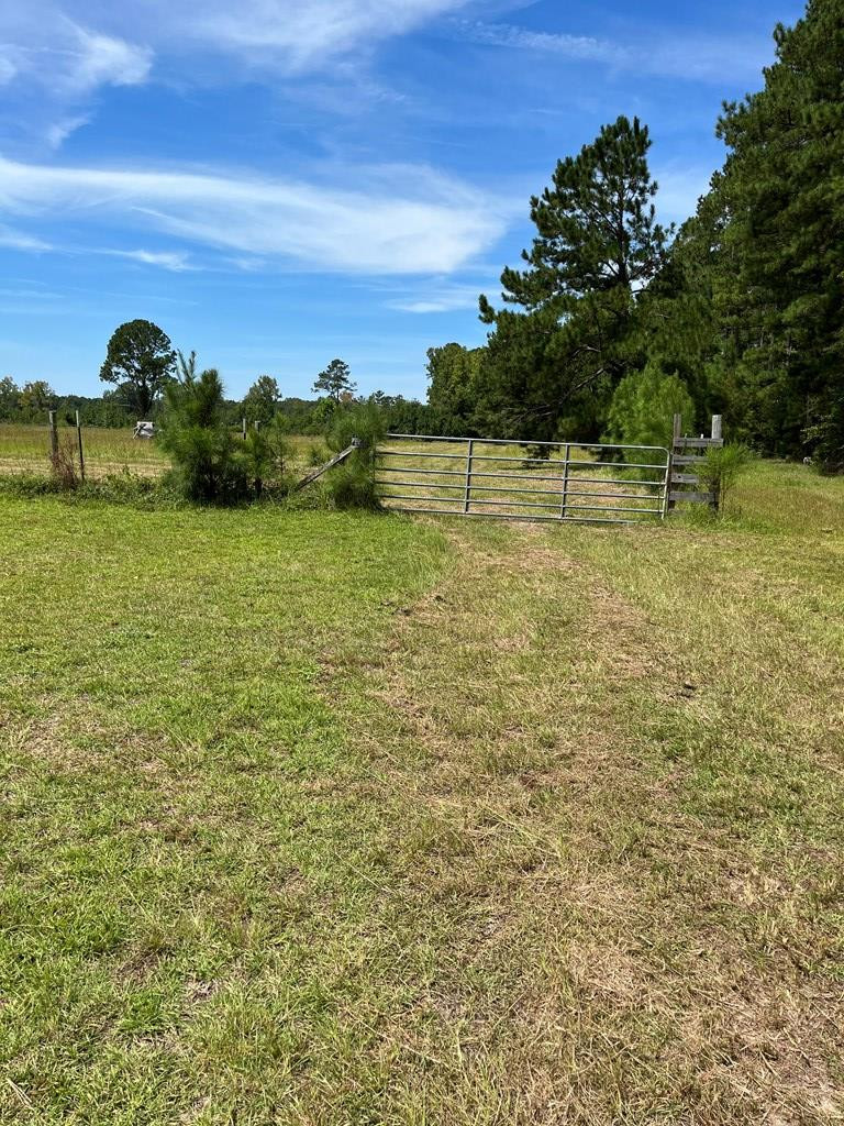 4864 Cannon Bridge Road Cope, SC 29038 - Photo 15 of 19 Photo 16