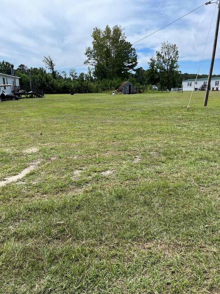 4864 Cannon Bridge Road Cope, SC 29038 - Photo 18 of 19 Photo 19