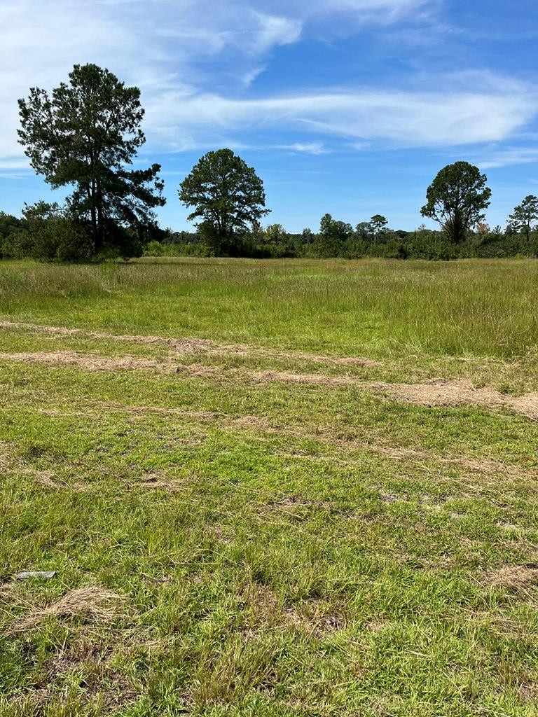4864 Cannon Bridge Road Cope, SC 29038 - Photo 19 of 19 Photo 20