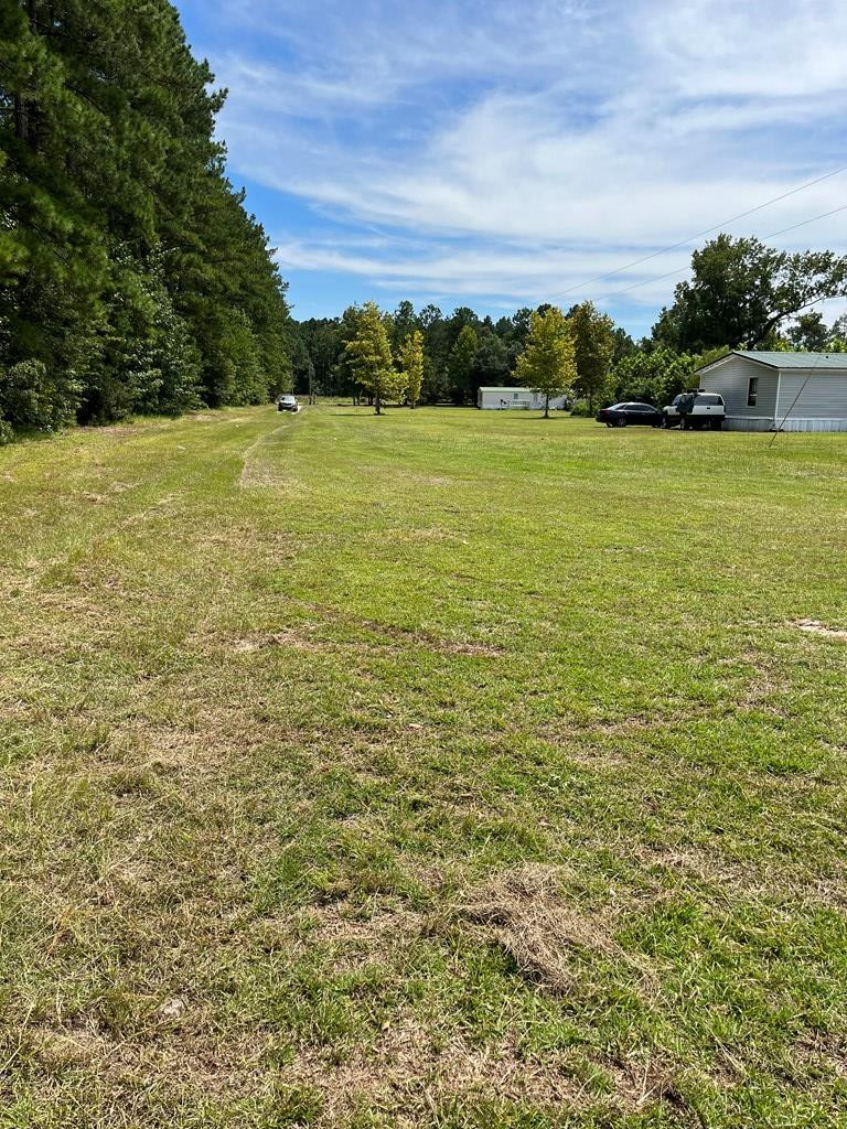4864 Cannon Bridge Road Cope, SC 29038 - Photo 3 of 19 Photo 3
