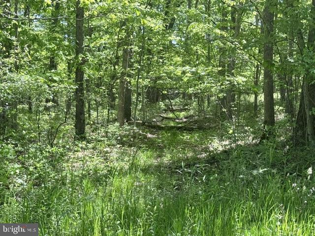 Turkey Neck Road Swanton, MD 21561 - Photo 8 of 27 1.7 acre lot