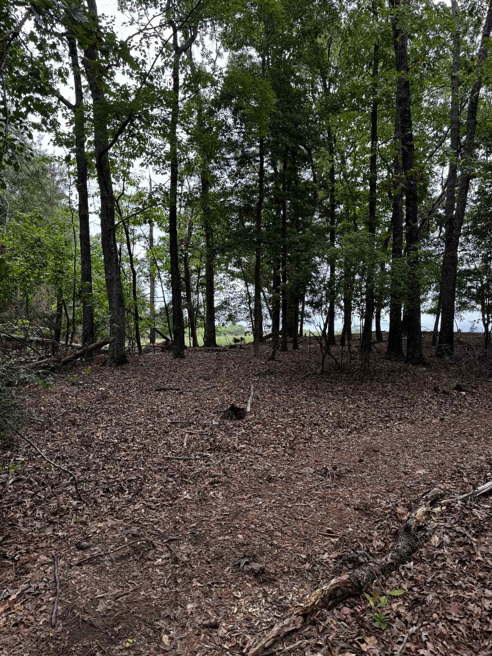 0 Walnut Grove Road Roebuck, SC 29376 - Photo 12 of 17 Gallery Image 12