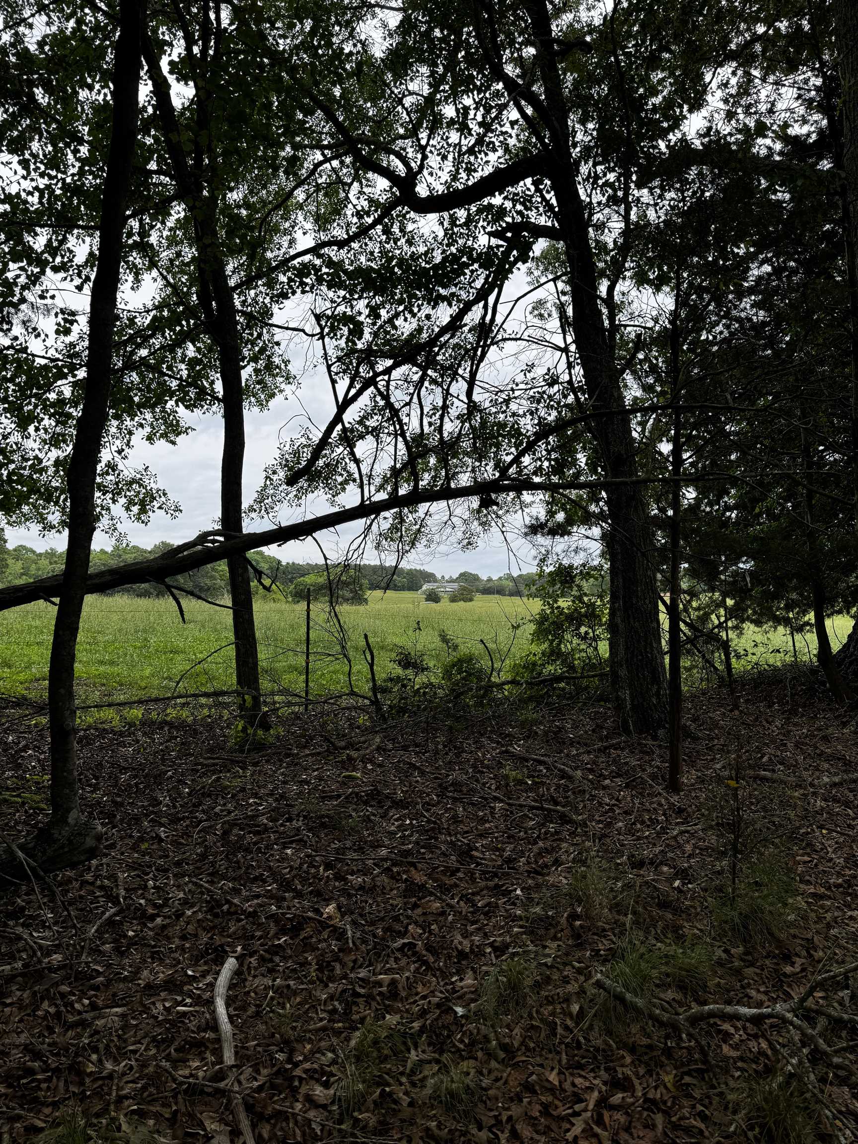 0 Walnut Grove Road Roebuck, SC 29376 - Photo 14 of 17 Gallery Image 14