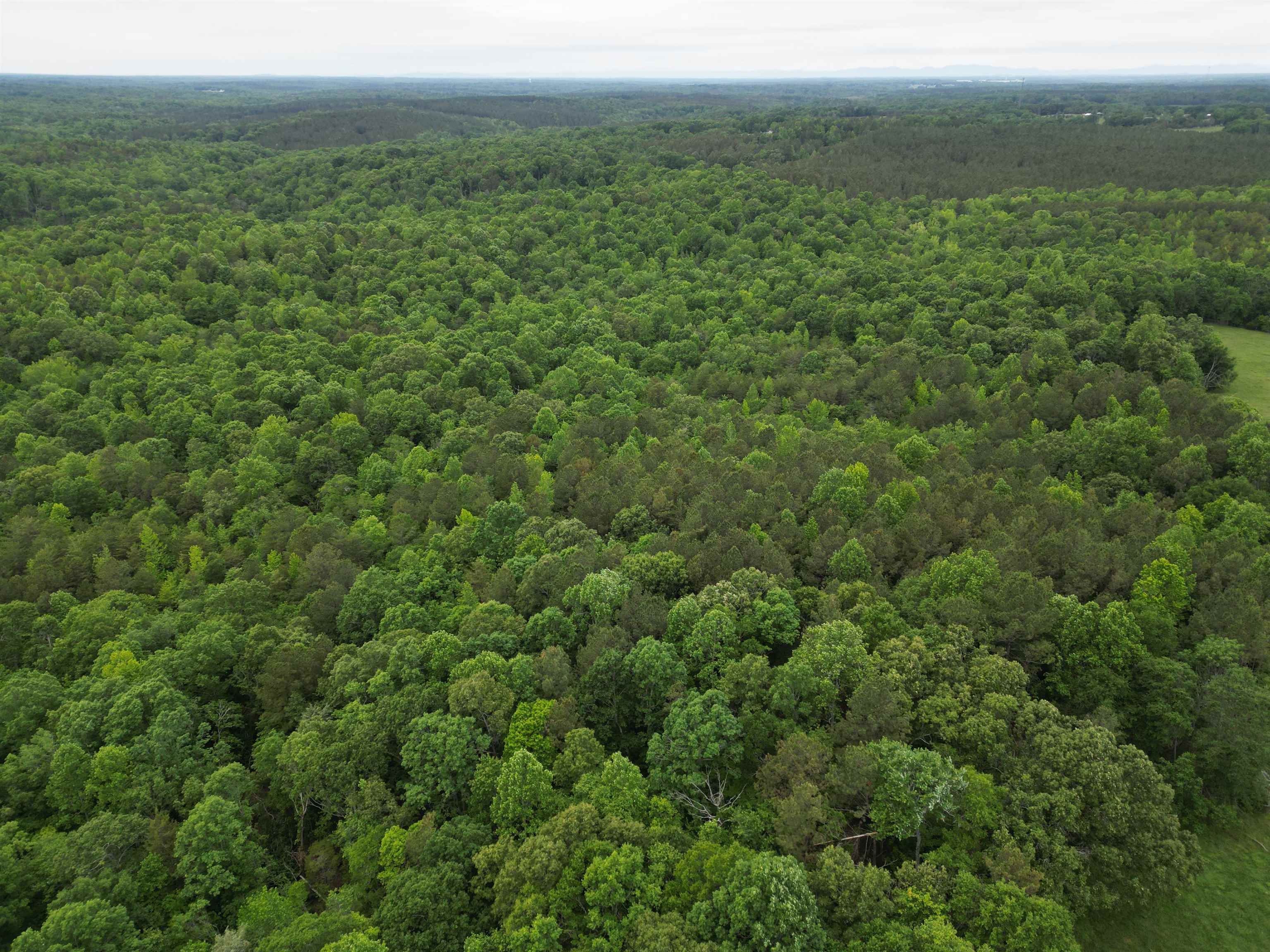 0 Walnut Grove Road Roebuck, SC 29376 - Photo 3 of 17 Gallery Image 3