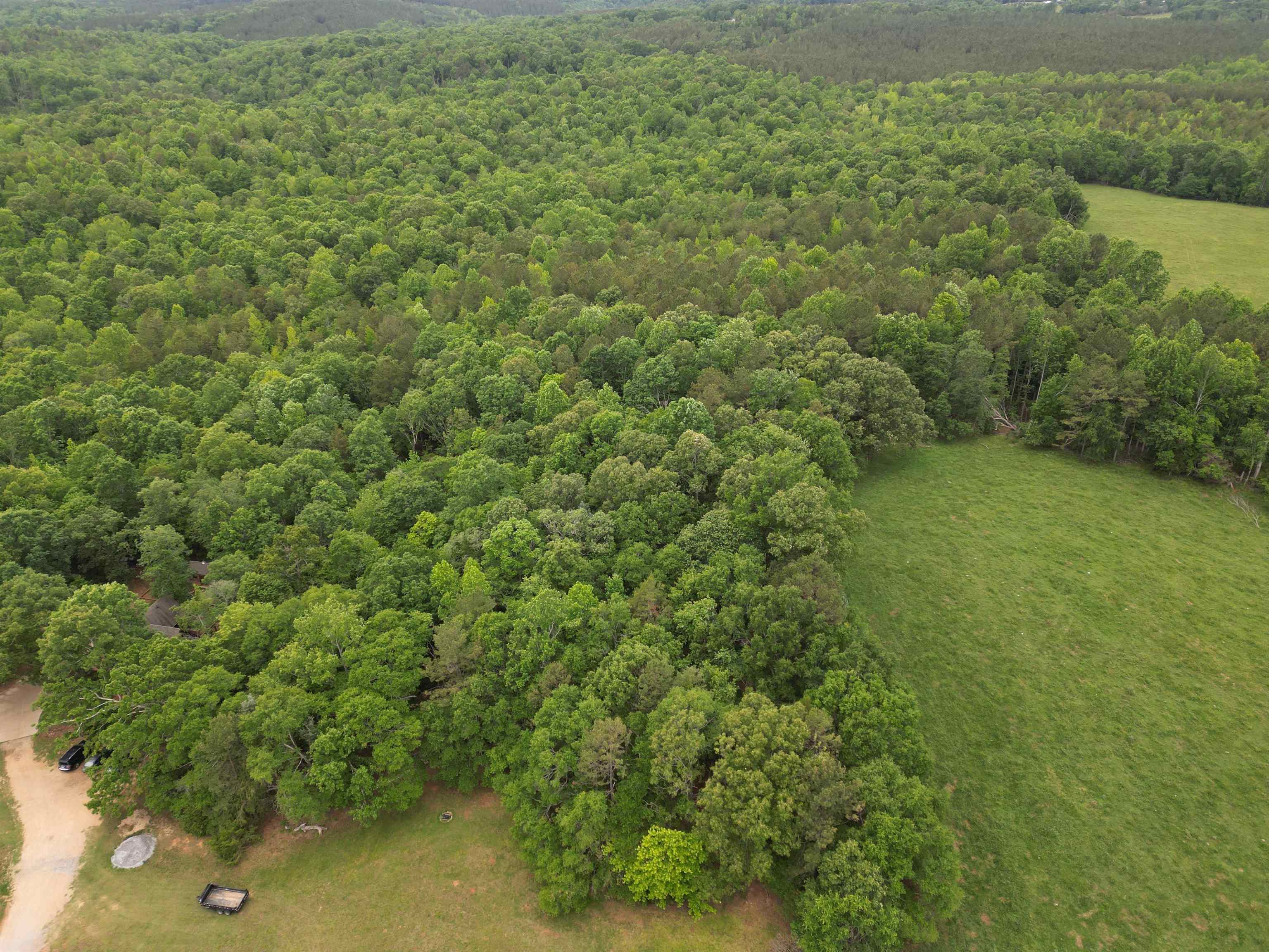 0 Walnut Grove Road Roebuck, SC 29376 - Photo 6 of 17 Gallery Image 6