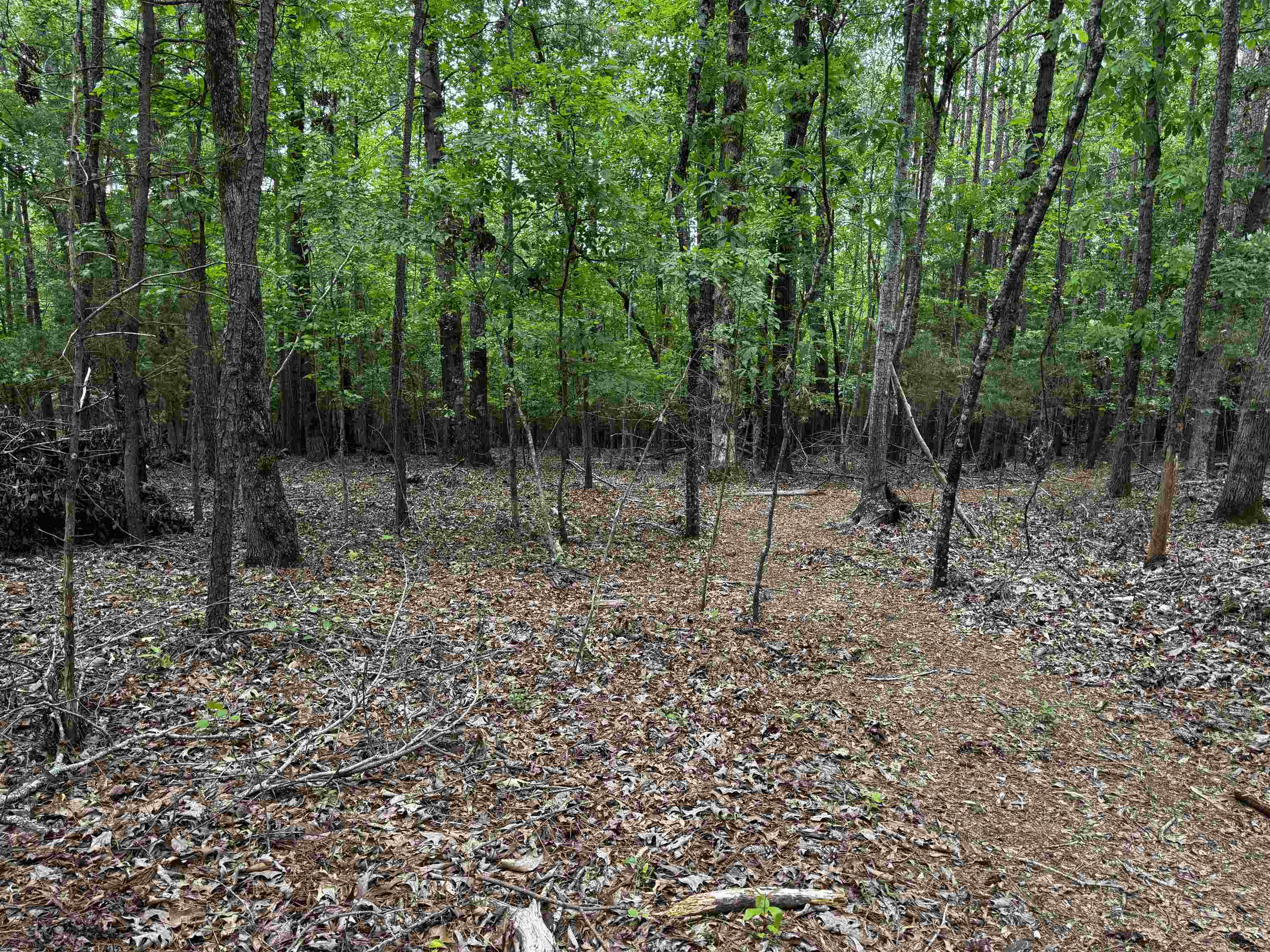 0 Walnut Grove Road Roebuck, SC 29376 - Photo 8 of 17 Gallery Image 8