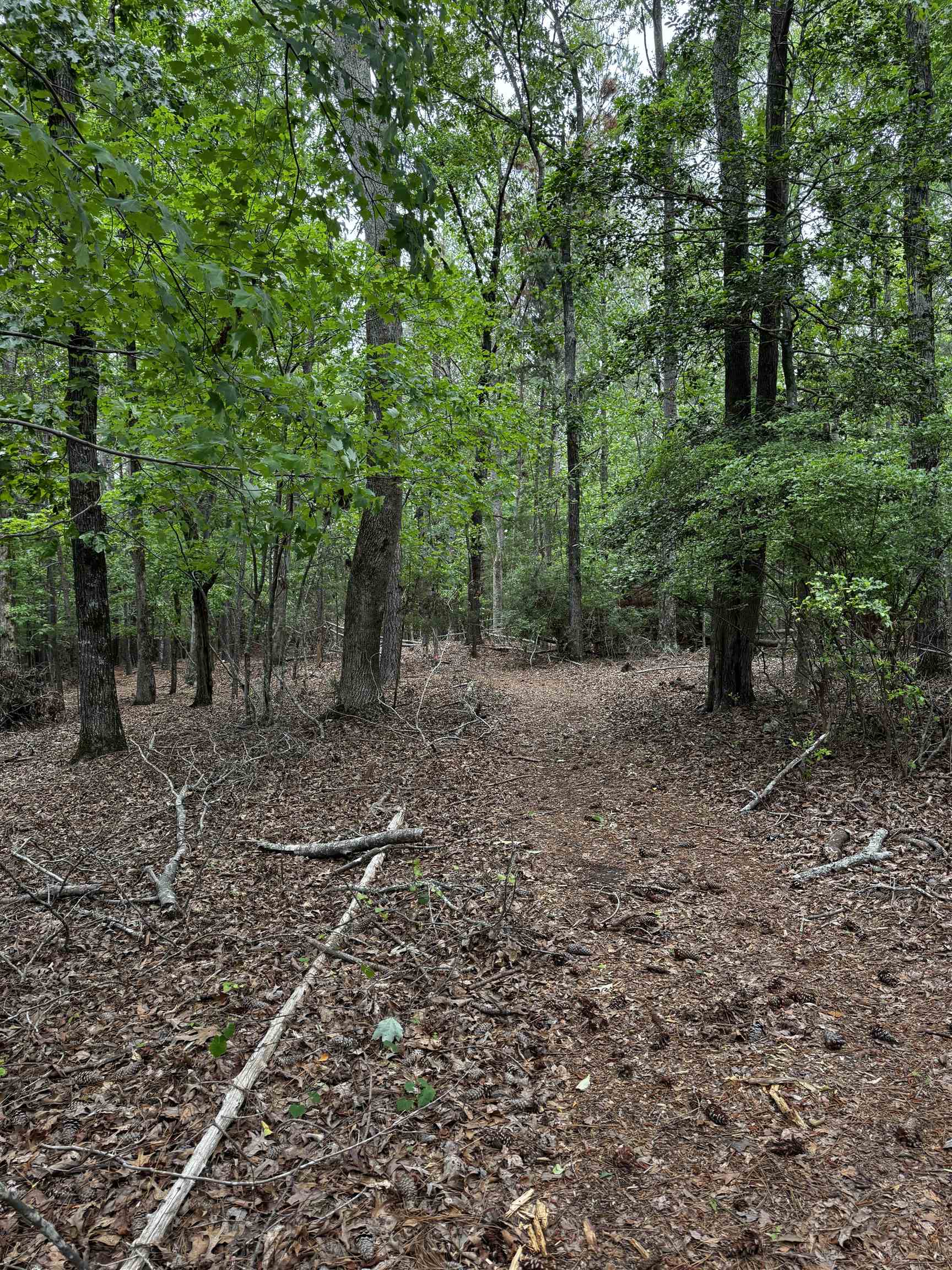 0 Walnut Grove Road Roebuck, SC 29376 - Photo 9 of 17 Gallery Image 9