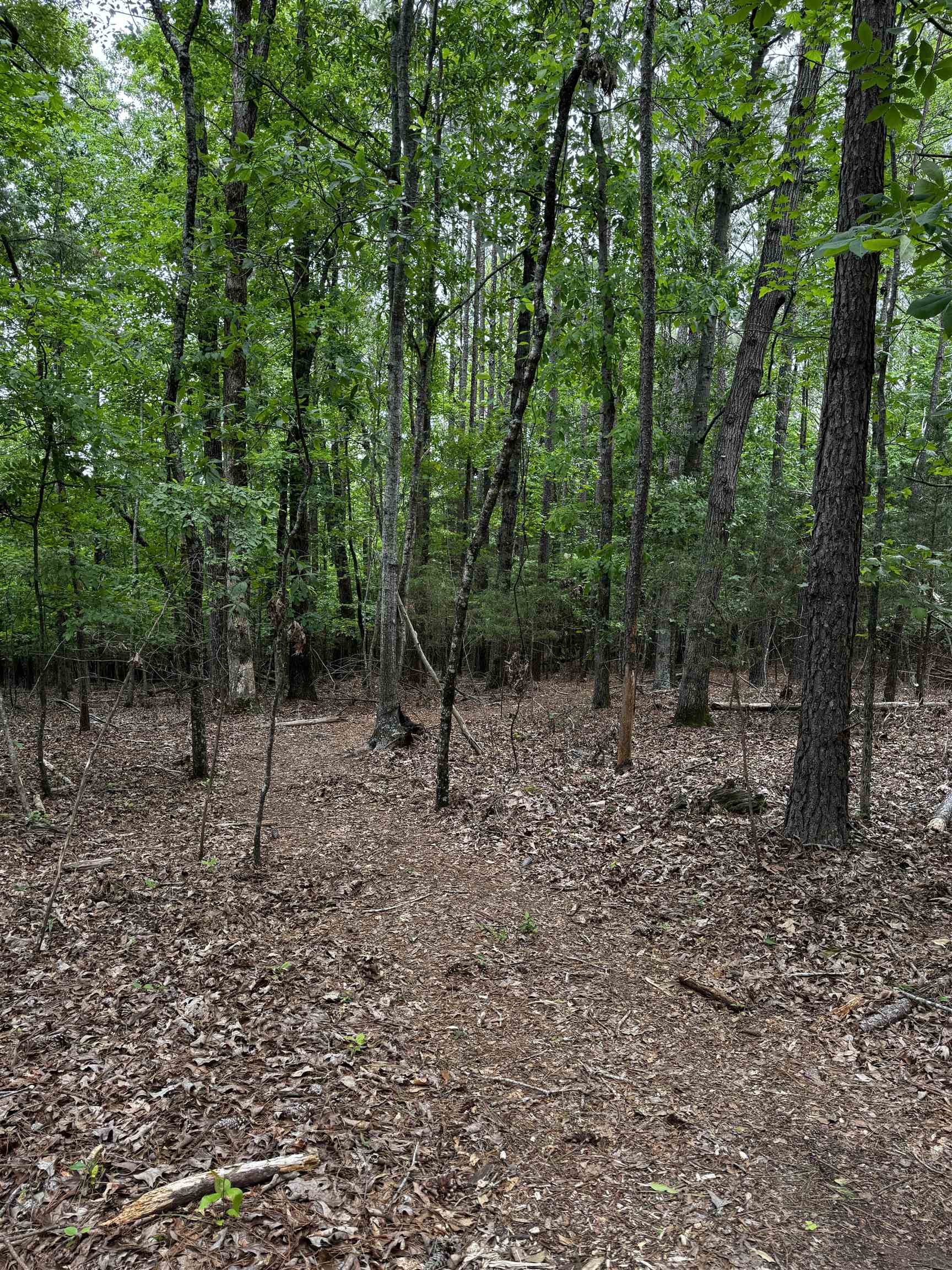 0 Walnut Grove Road Roebuck, SC 29376 - Photo 10 of 17 Gallery Image 10