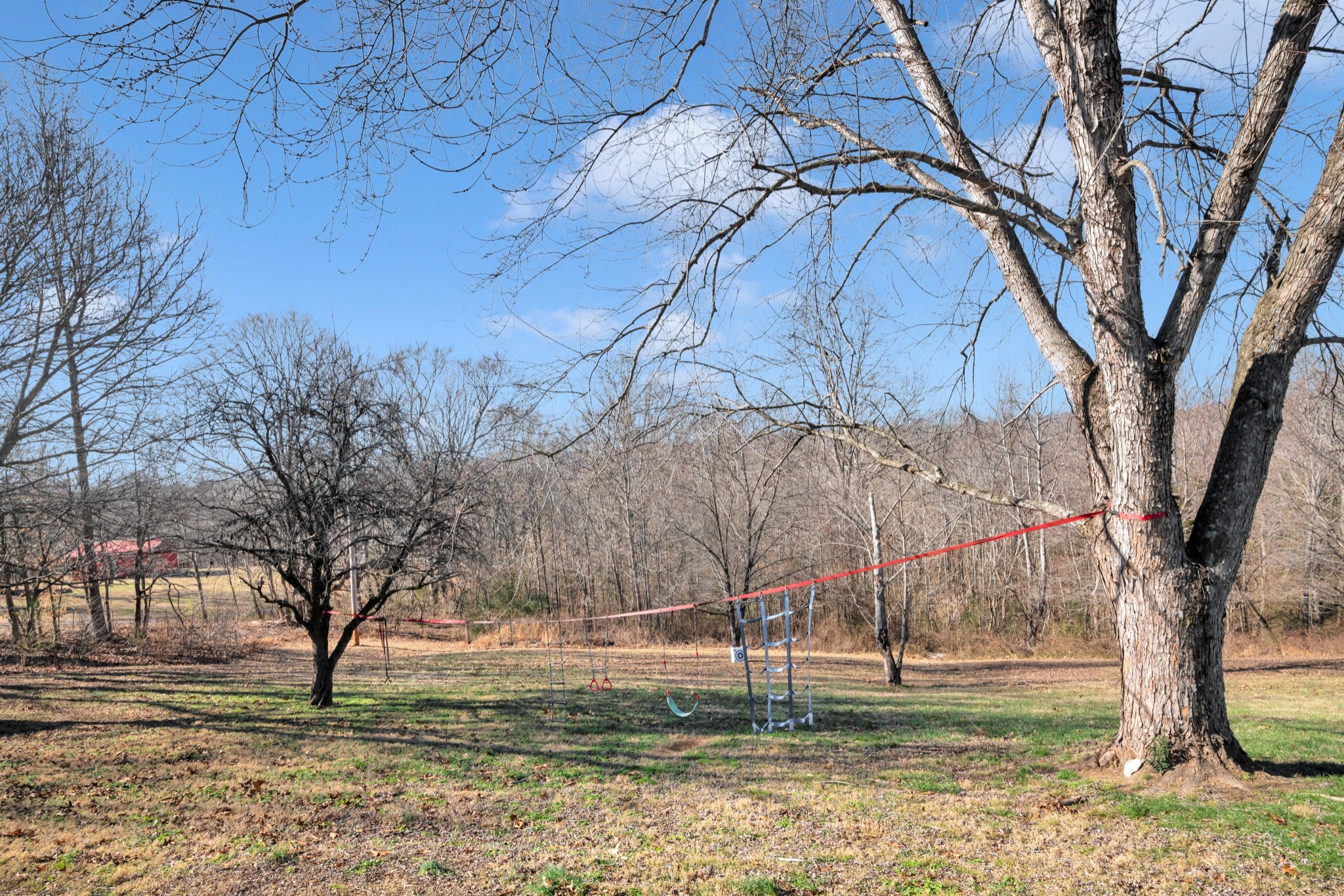 1169 Saddle Tree Road Ashland City, TN 37015 - Photo 24 of 29 a backyard of a house with lots of green space