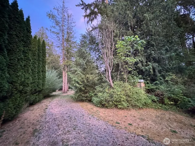 a view of a plants with trees in the background