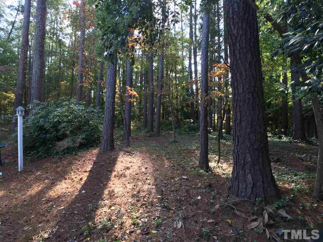 3105 Braddock Drive Raleigh, NC 27612 - Photo 19 of 19 a view of a forest that has lots of trees