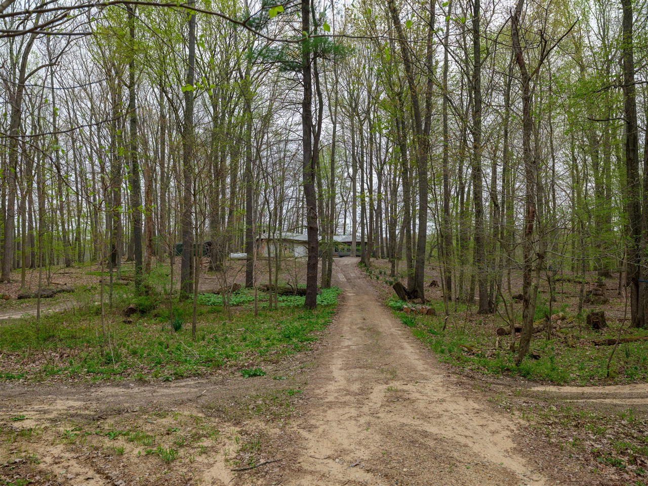 22431 Paulson Road Gobles, MI 49055 - Photo 35 of 52