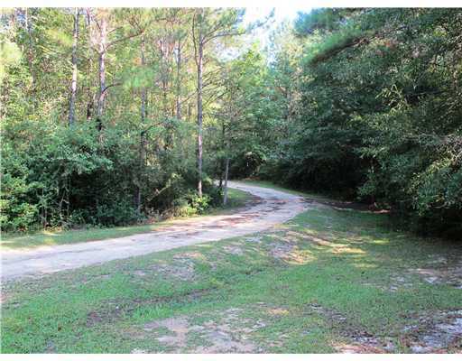 2240 Salem Campground Road Lucedale, MS 39452 - Photo 3 of 25 Additional Photo
