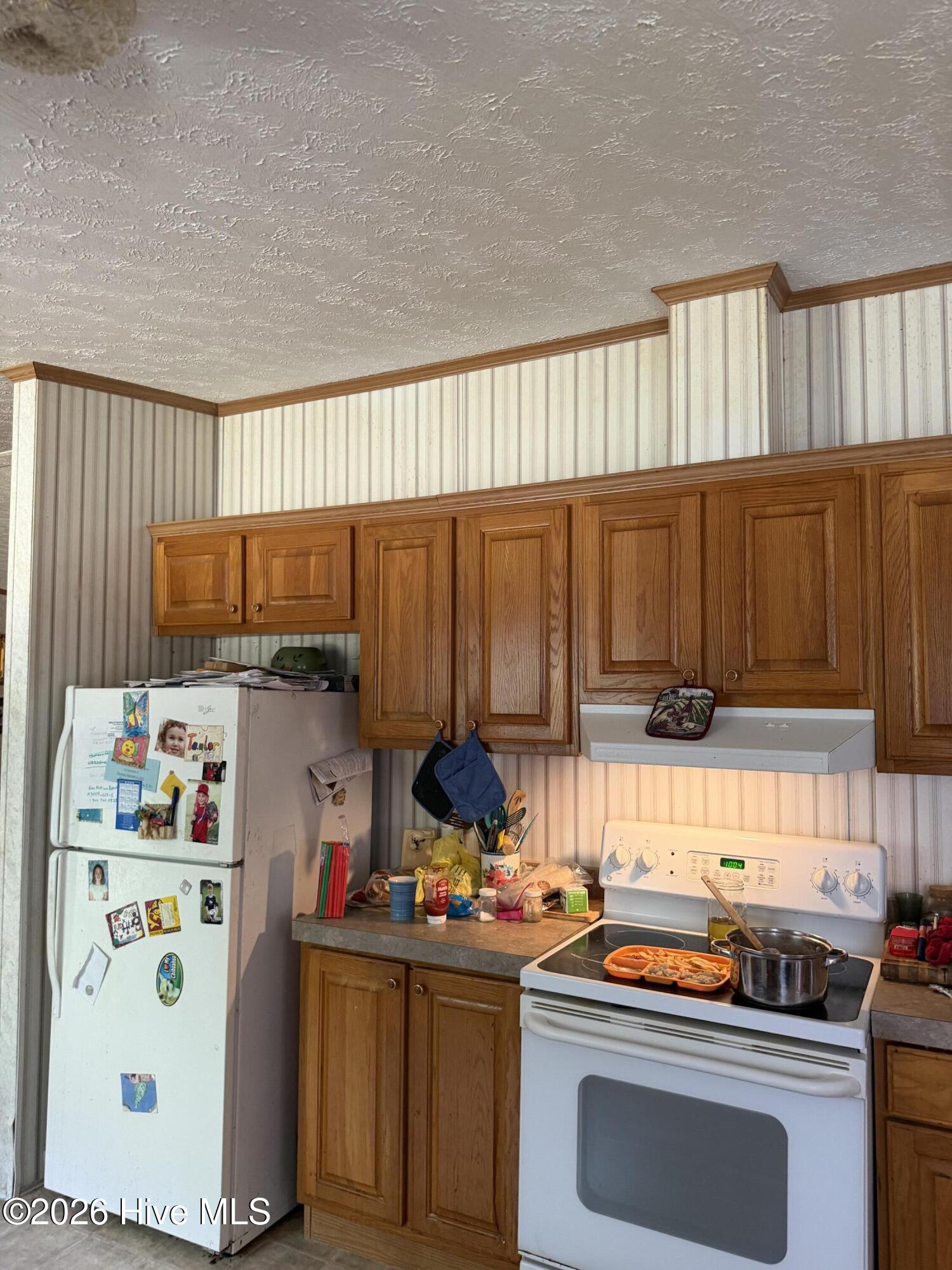 715 Lasker Golf Course Road Conway, NC 27820 - Photo 3 of 16 Gallery Image 3