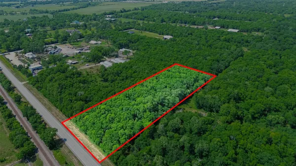 a view of a backyard with plants