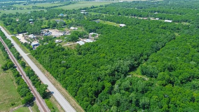 a view of a yard with plants