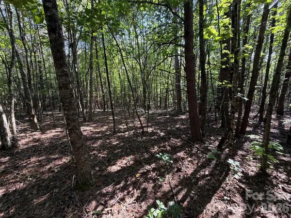$29,900 | 472 Southern Way, Nebo, NC 28761