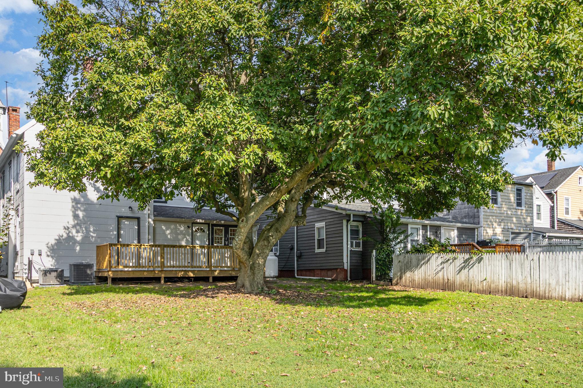 517 High Street Chestertown, MD 21620 - Photo 41 of 51 a front view of a house with a garden and trees