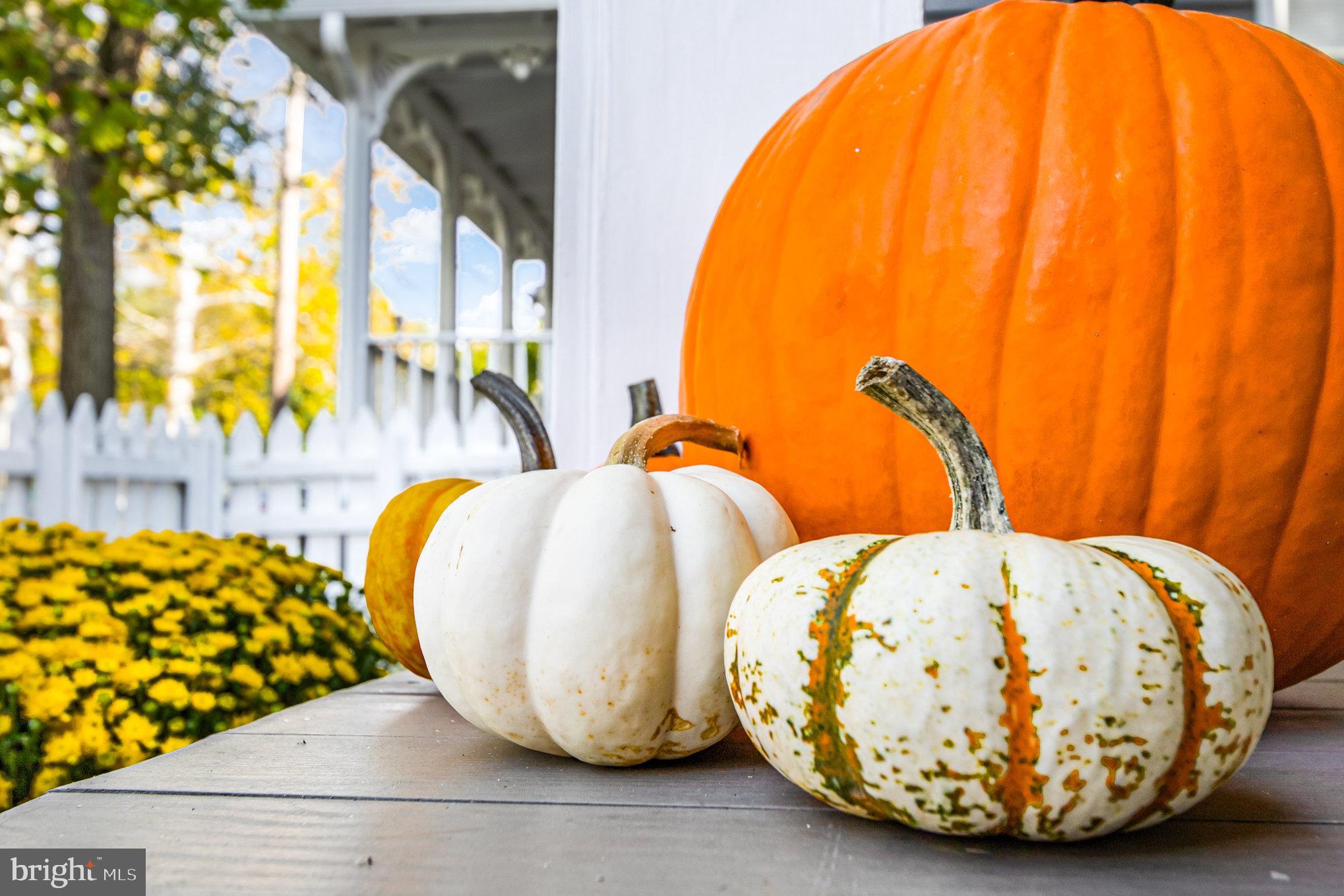 517 High Street Chestertown, MD 21620 - Photo 5 of 51