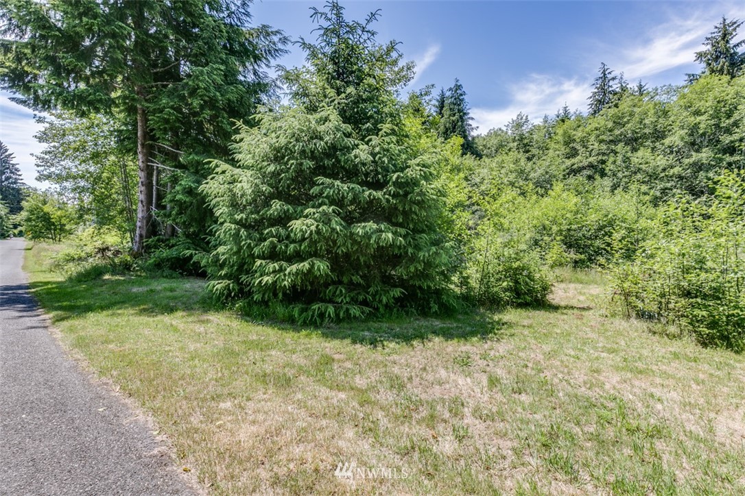 504 Richwine Road Forks, WA 98331 - Photo 18 of 25 Gallery Image 18