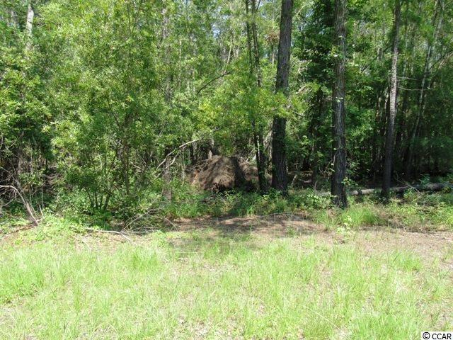 872 Jackson Bluff Road Conway, SC 29526 - Photo 20 of 22 Gallery Image 20
