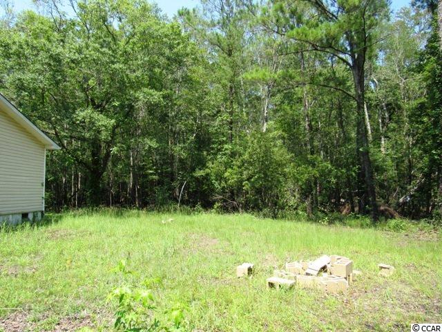 872 Jackson Bluff Road Conway, SC 29526 - Photo 22 of 22 Gallery Image 22