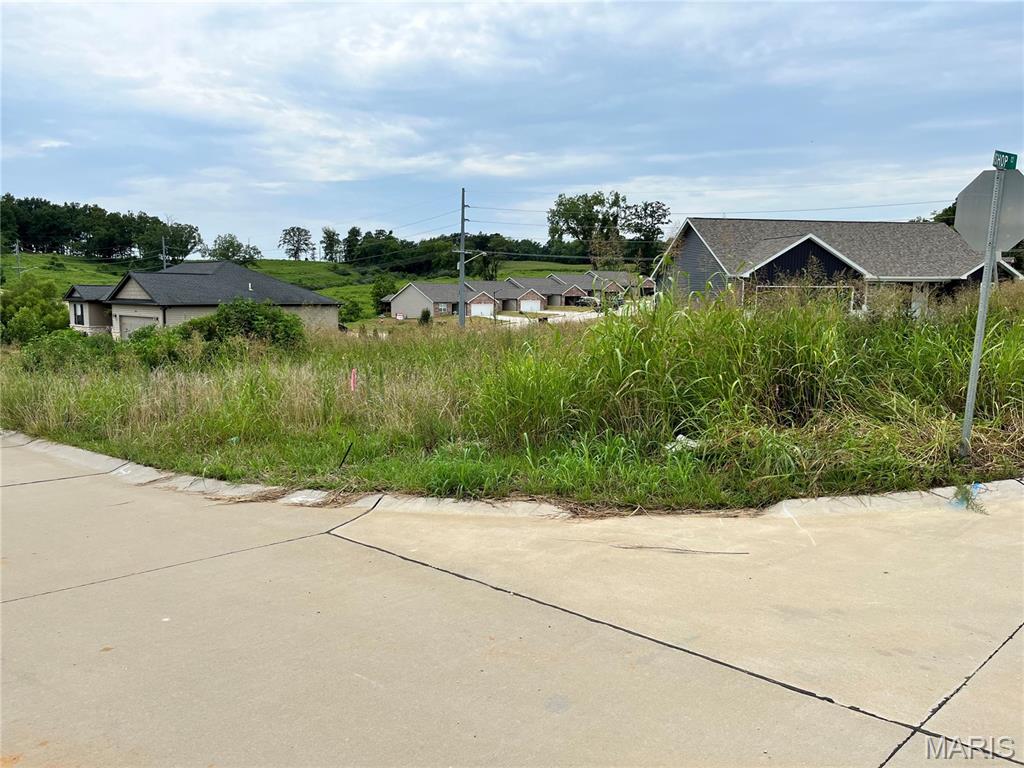 531 Steeplechase Road Jackson, MO 63755 - Photo 3 of 3