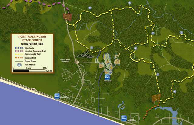 418 Flatwoods Forest Loop Santa Rosa Beach, FL 32459 - Photo 9 of 9 Gallery Image 9