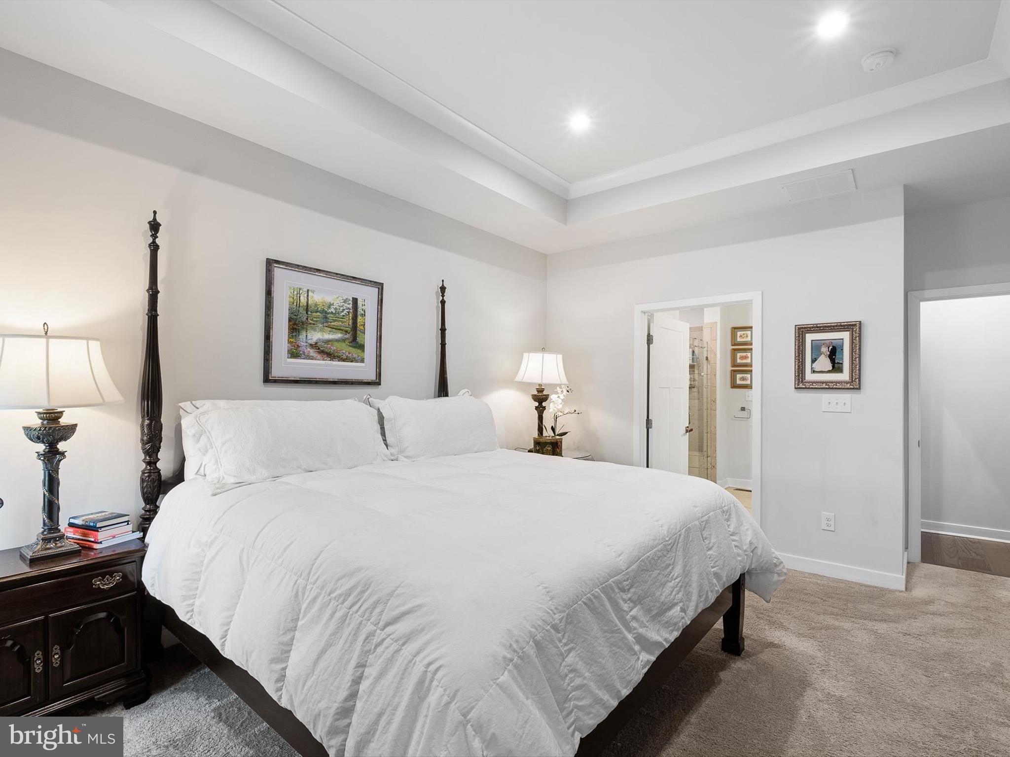 736 Cascade Way Kennett Square, PA 19348 - Photo 16 of 30 Tray Ceiling in Primary Suite