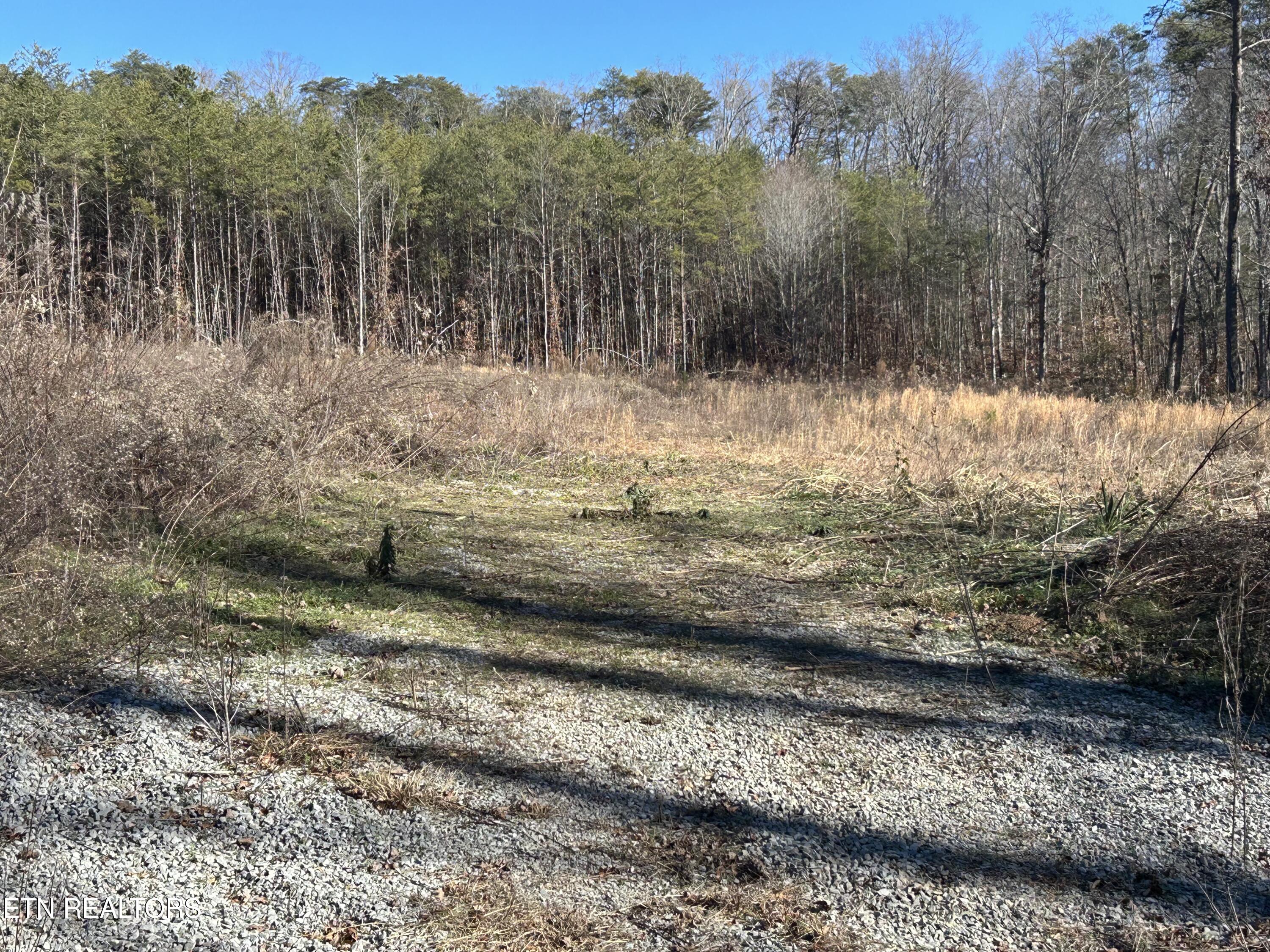 504 Wiggins Road Tellico Plains, TN 37385 - Photo 2 of 9 IMG_9124