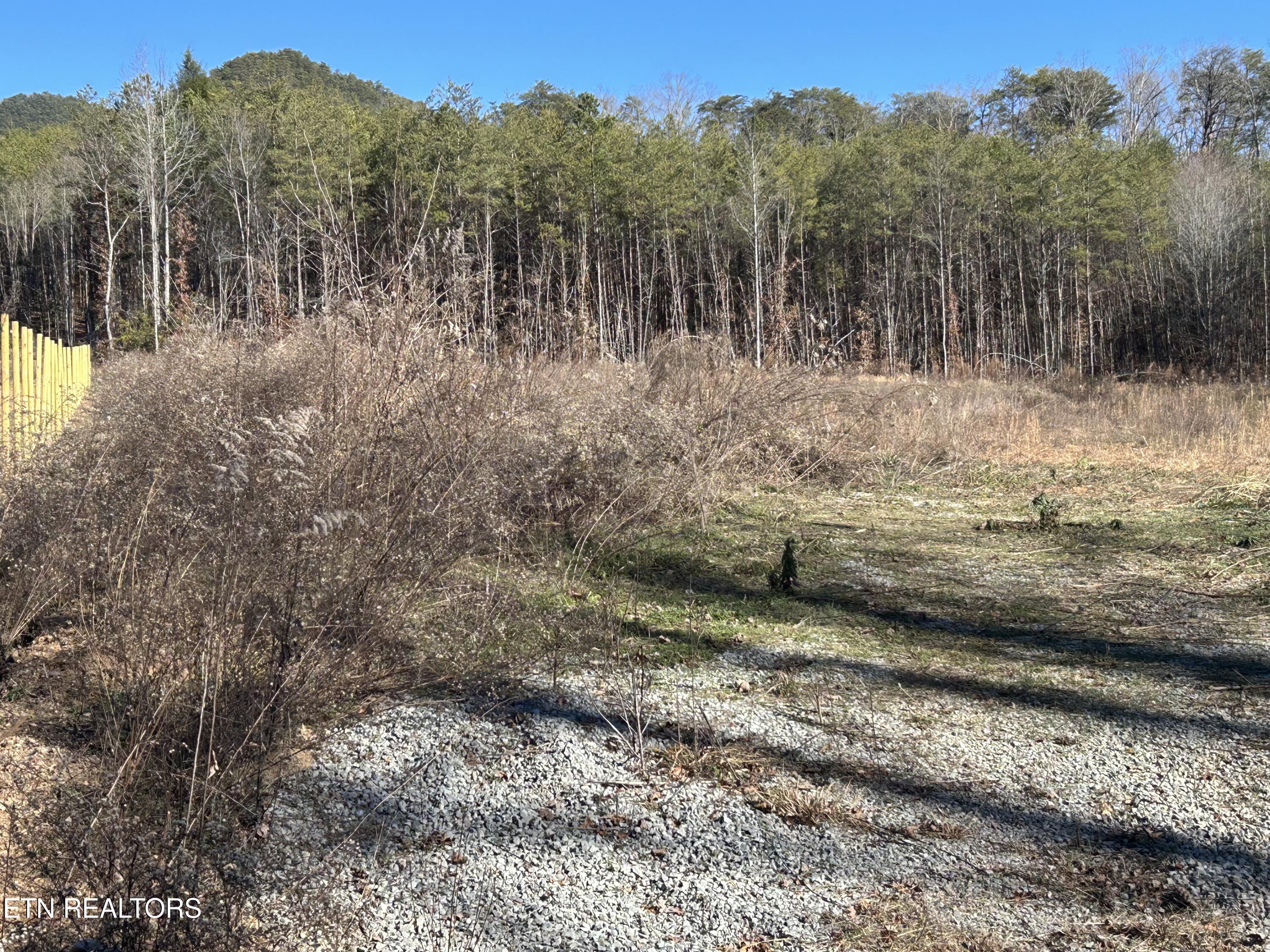 504 Wiggins Road Tellico Plains, TN 37385 - Photo 3 of 9 IMG_9125