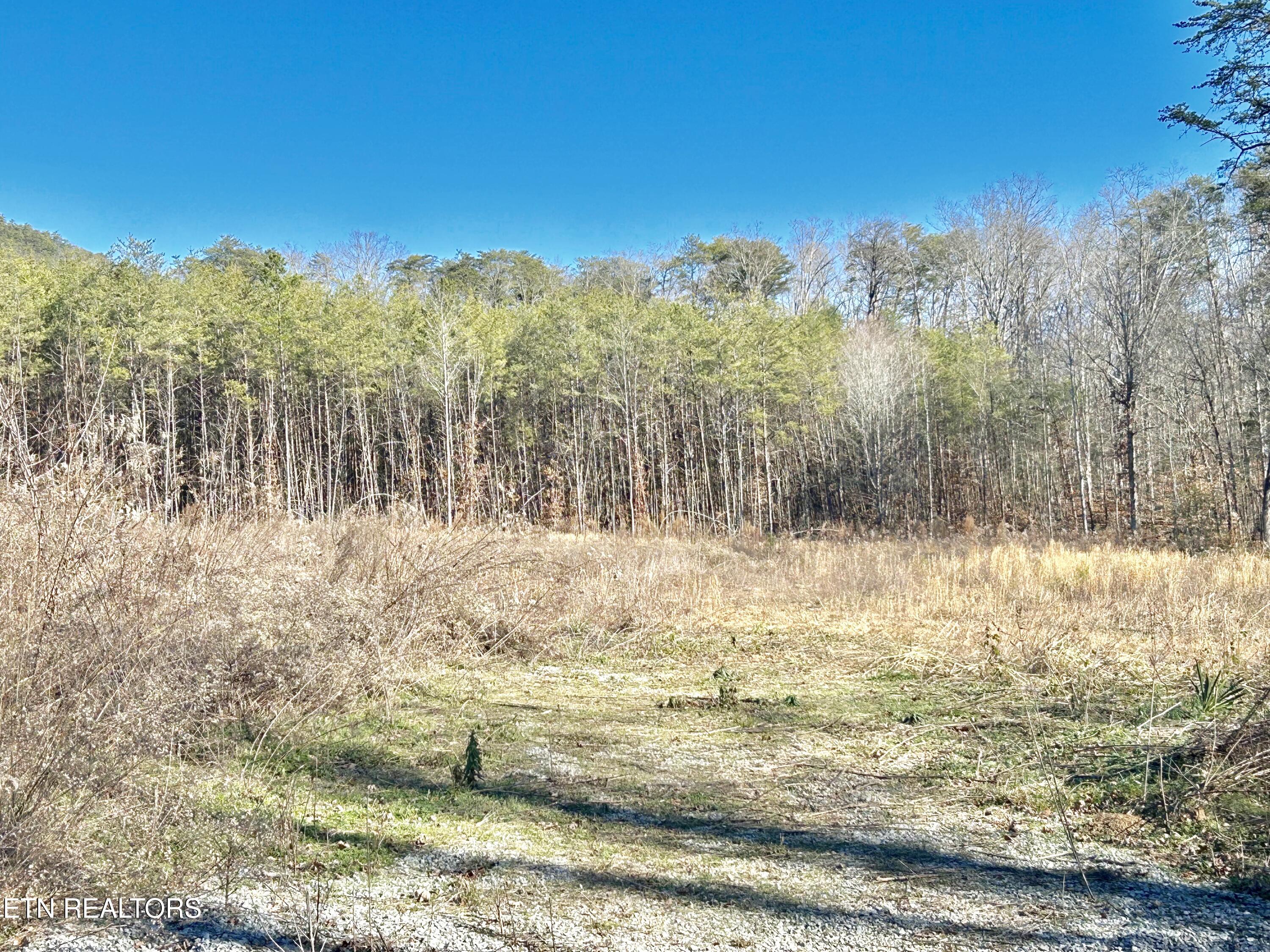 504 Wiggins Road Tellico Plains, TN 37385 - Photo 5 of 9 fullsizeoutput_1c1e