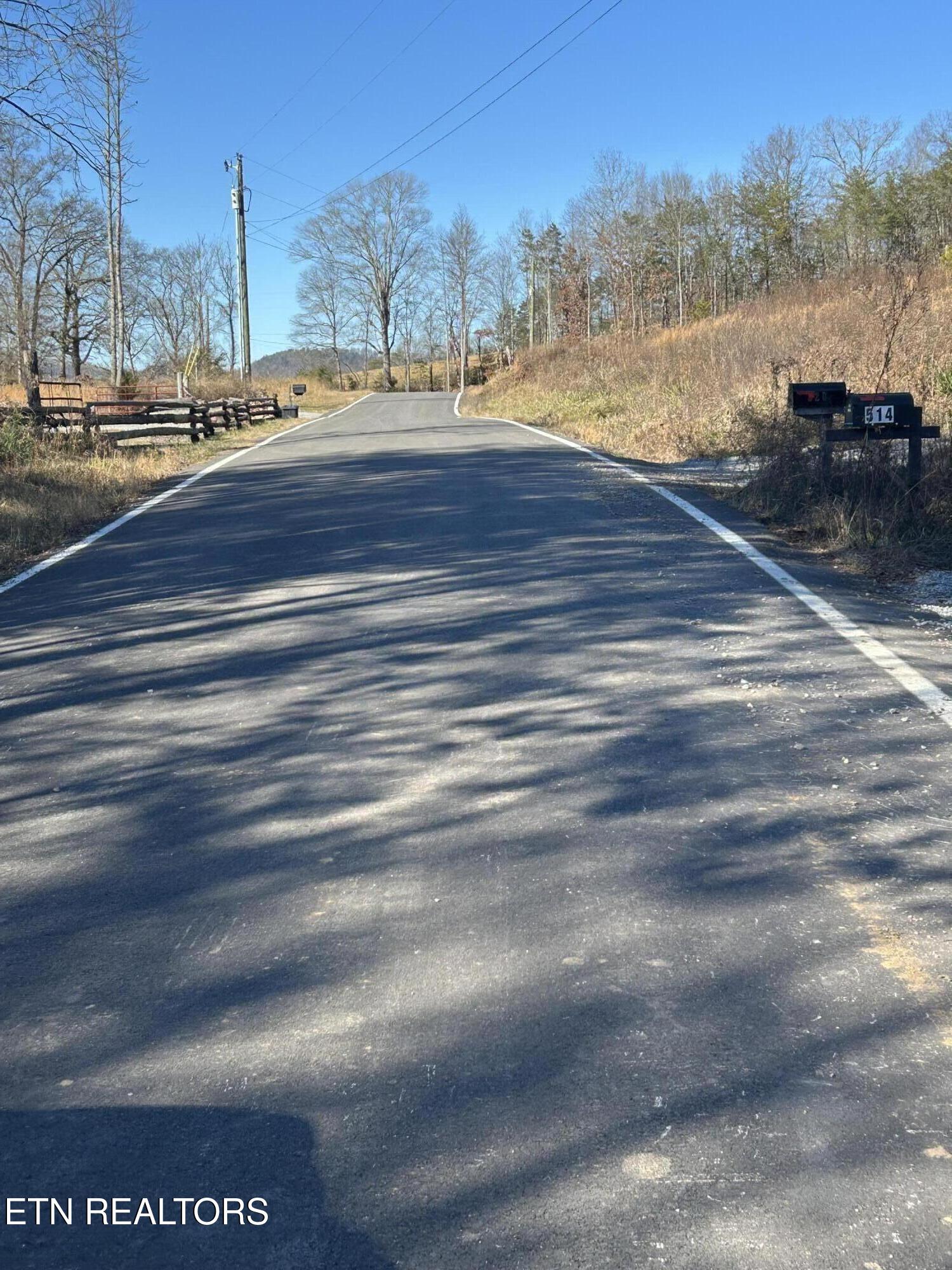 504 Wiggins Road Tellico Plains, TN 37385 - Photo 7 of 9 IMG_9130