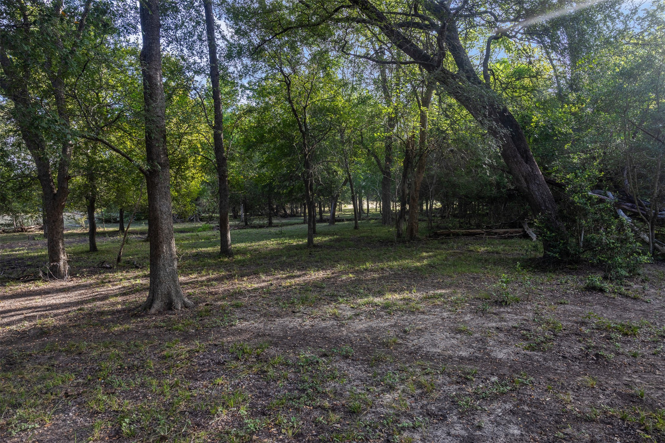 444 North Nassau Road Round Top, TX 78954 - Photo 10 of 19 Gallery Image 10
