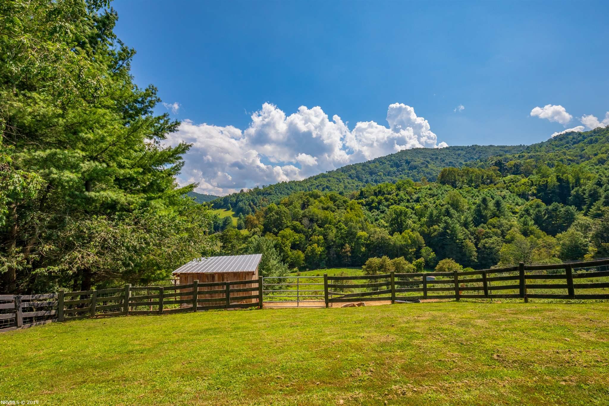 5305 Spring Valley Road, Unit 1 Elk Creek, VA 24326 - Photo 44 of 68 Gallery Image 44