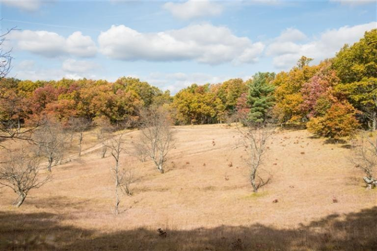 5625 Sweeter Road Twin Lake, MI 49457 - Photo 21 of 24 Additional Photo