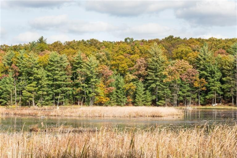 5625 Sweeter Road Twin Lake, MI 49457 - Photo 24 of 24 Additional Photo