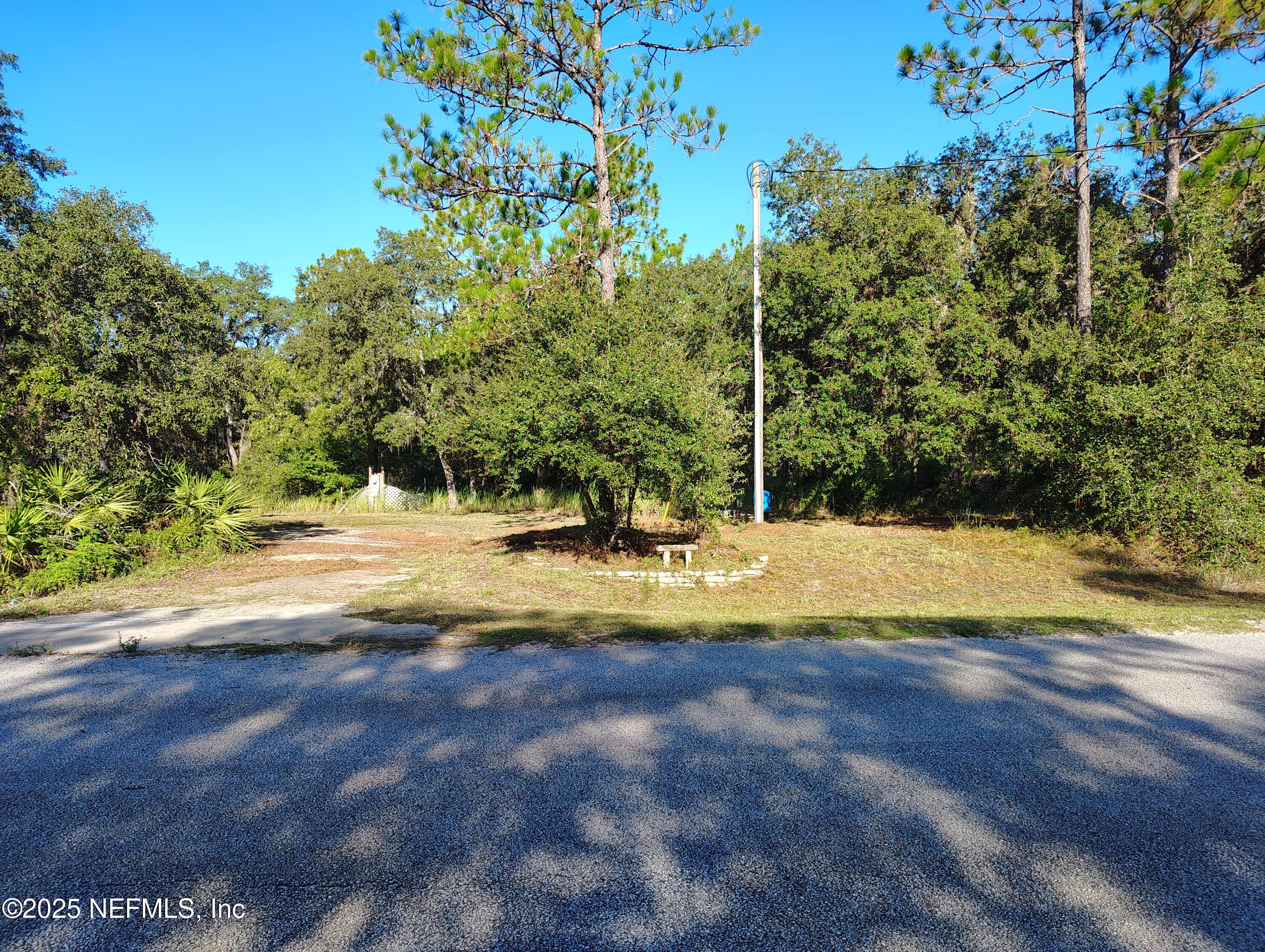 601 Hoover Road Interlachen, FL 32148 - Photo 11 of 33 a view of yard with trees