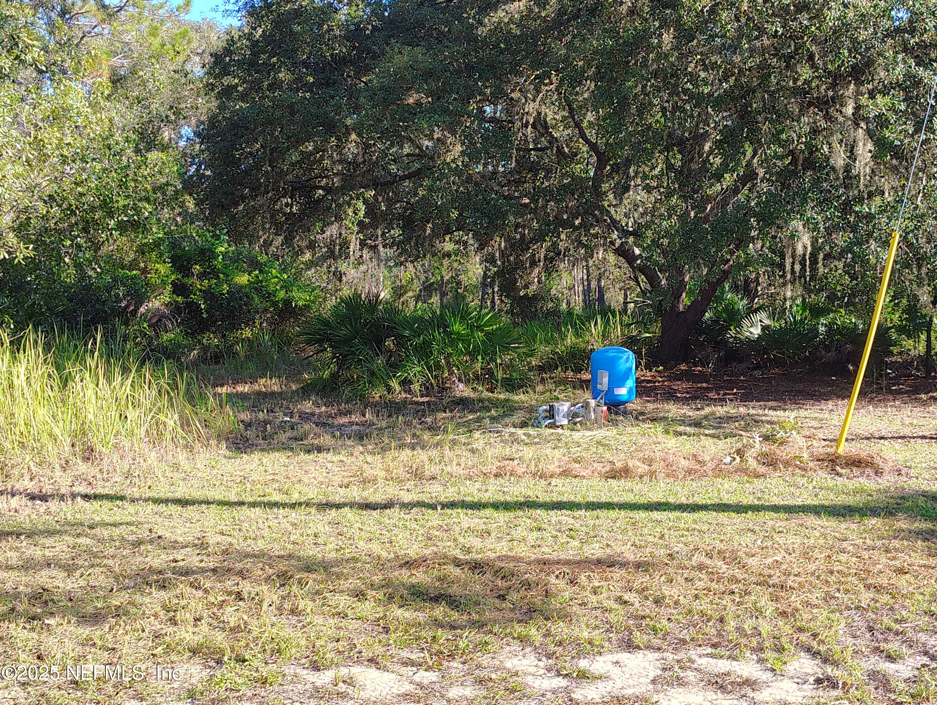 601 Hoover Road Interlachen, FL 32148 - Photo 5 of 33 a view of a yard with a slide