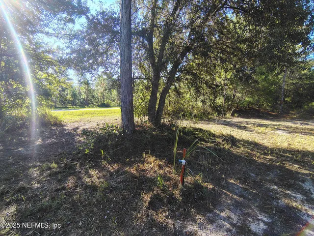 a view of a yard with swimming pool