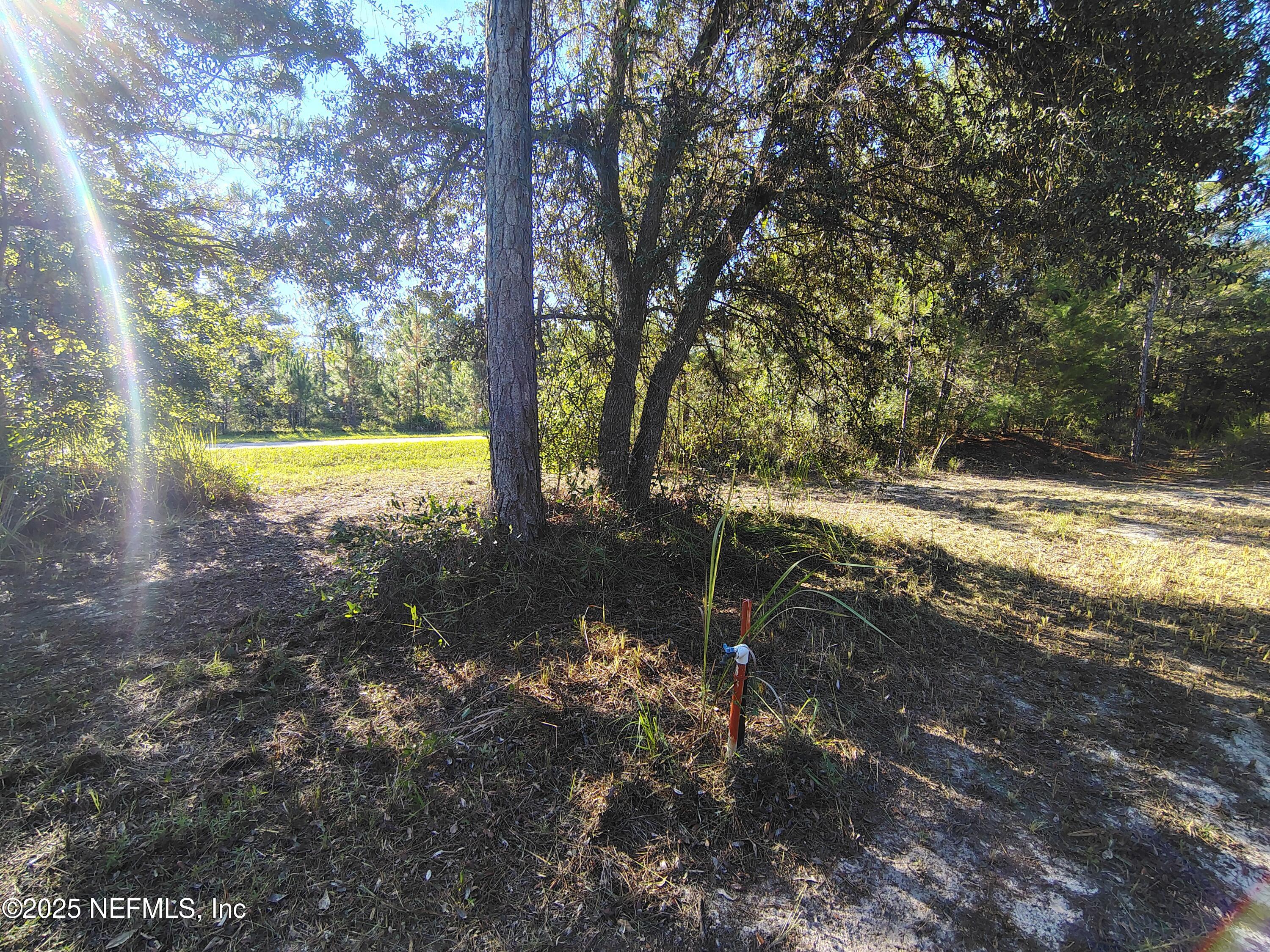 601 Hoover Road Interlachen, FL 32148 - Photo 7 of 33 a view of a yard with swimming pool