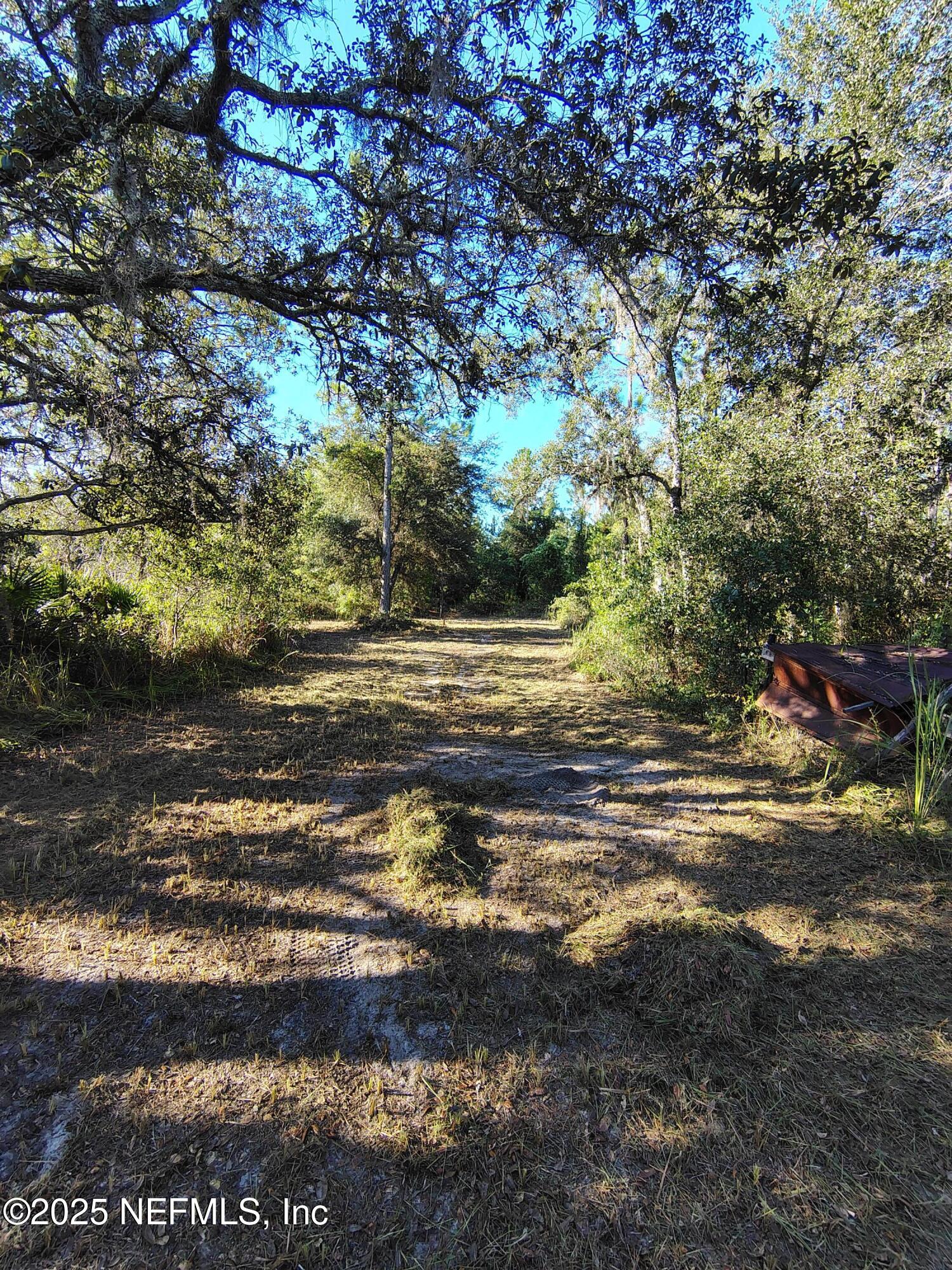 601 Hoover Road Interlachen, FL 32148 - Photo 8 of 33 a view of a yard with an outdoor space