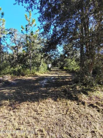 a view of dirt yard with a large tree