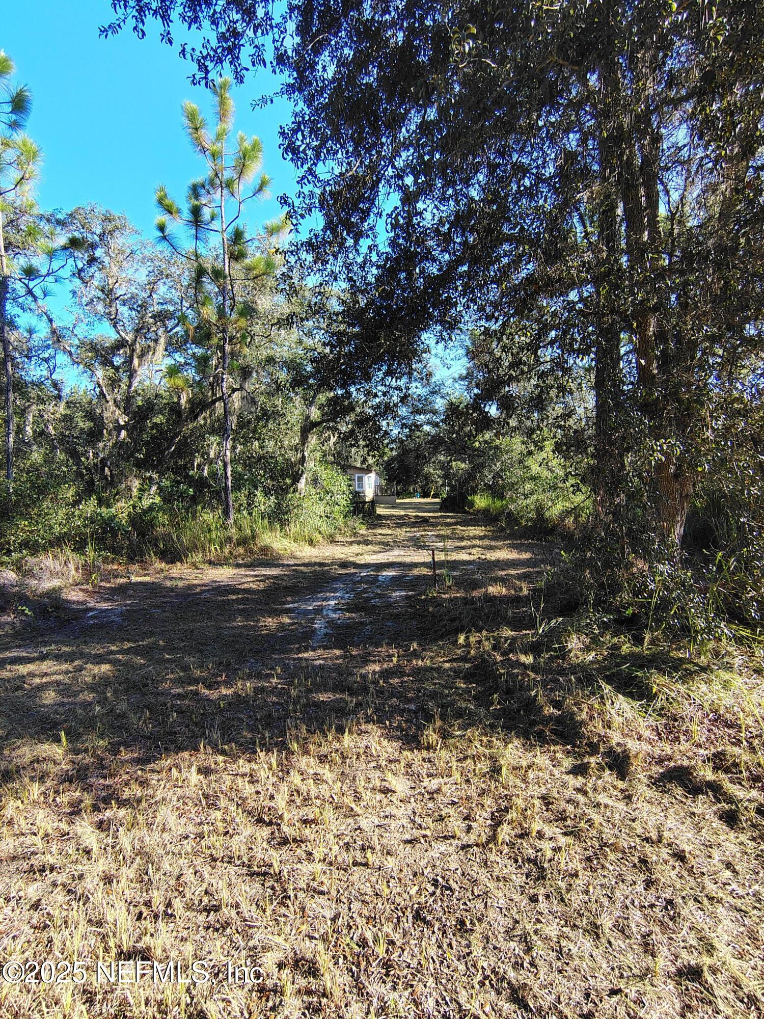 601 Hoover Road Interlachen, FL 32148 - Photo 9 of 33 a view of dirt yard with a large tree