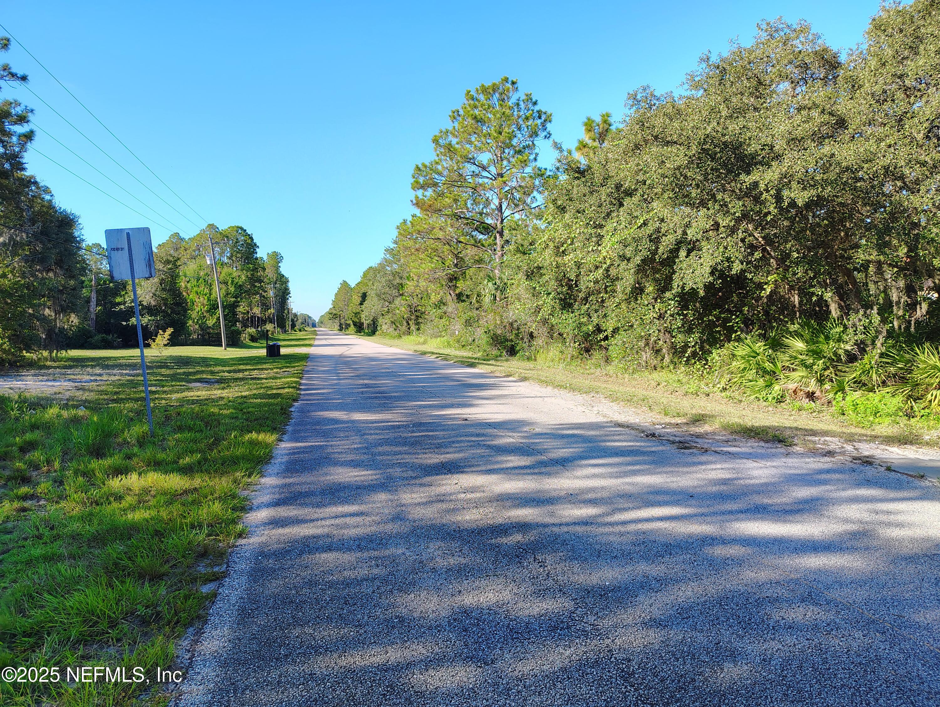 601 Hoover Road Interlachen, FL 32148 - Photo 10 of 33 a view of a yard with an trees