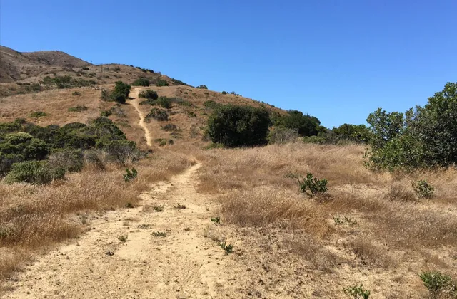 $4,500,000 | 0 Bayshore, Brisbane, CA 94005